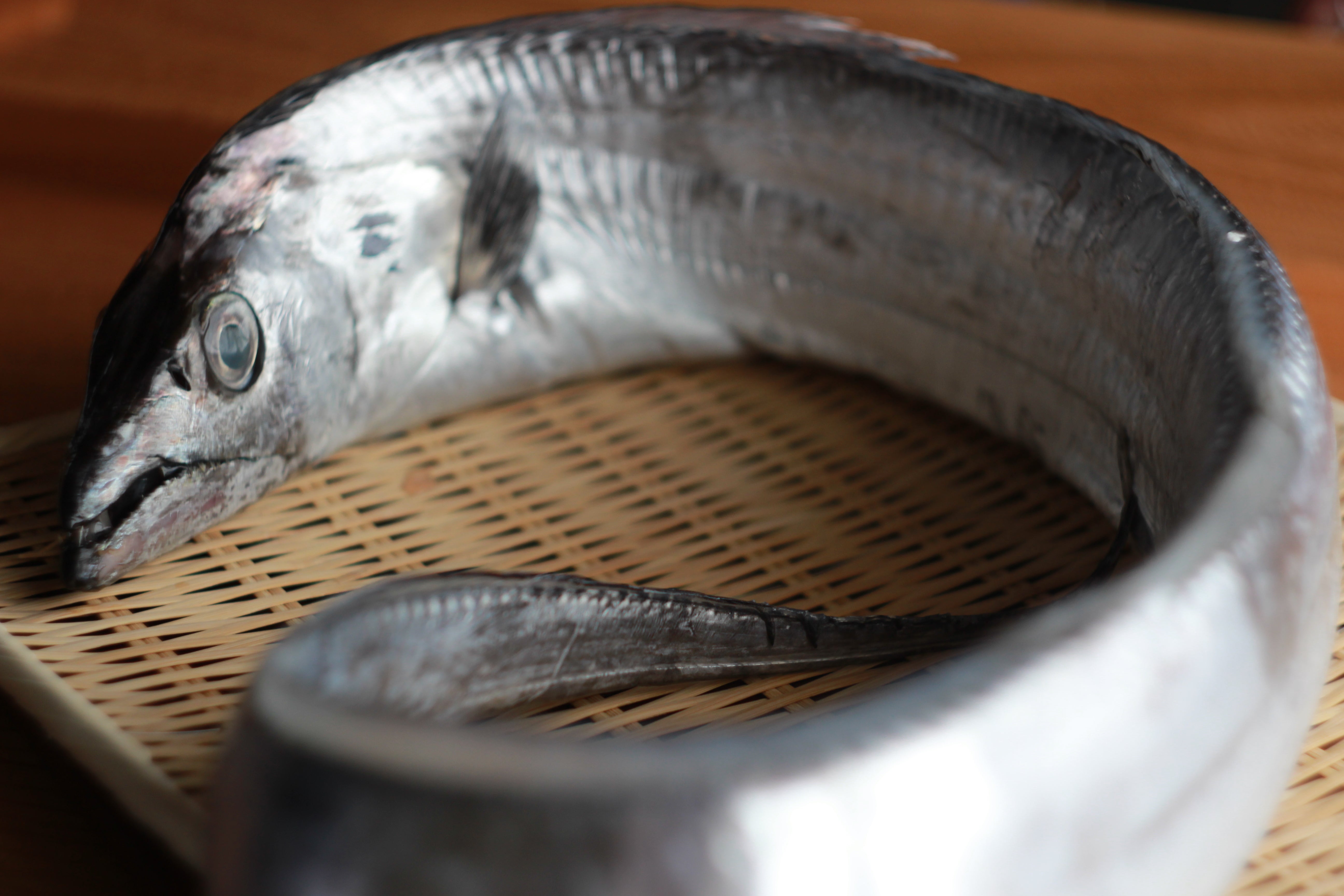 【夏休み特別企画】親子で学ぶ「みつわ 高級魚食育体験」開催のお知らせ