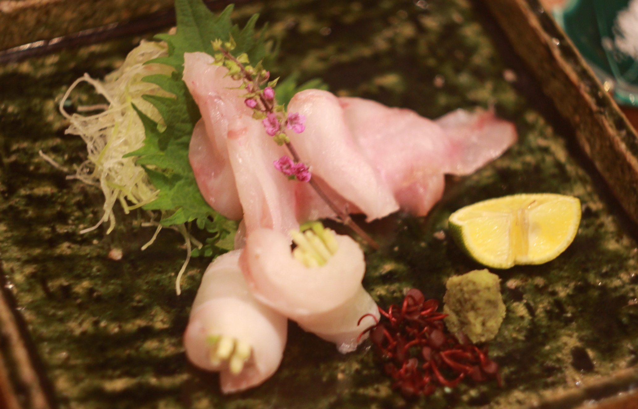 九絵（クエ）ガストロノミー　──　三重県産・二十キロ級の幻