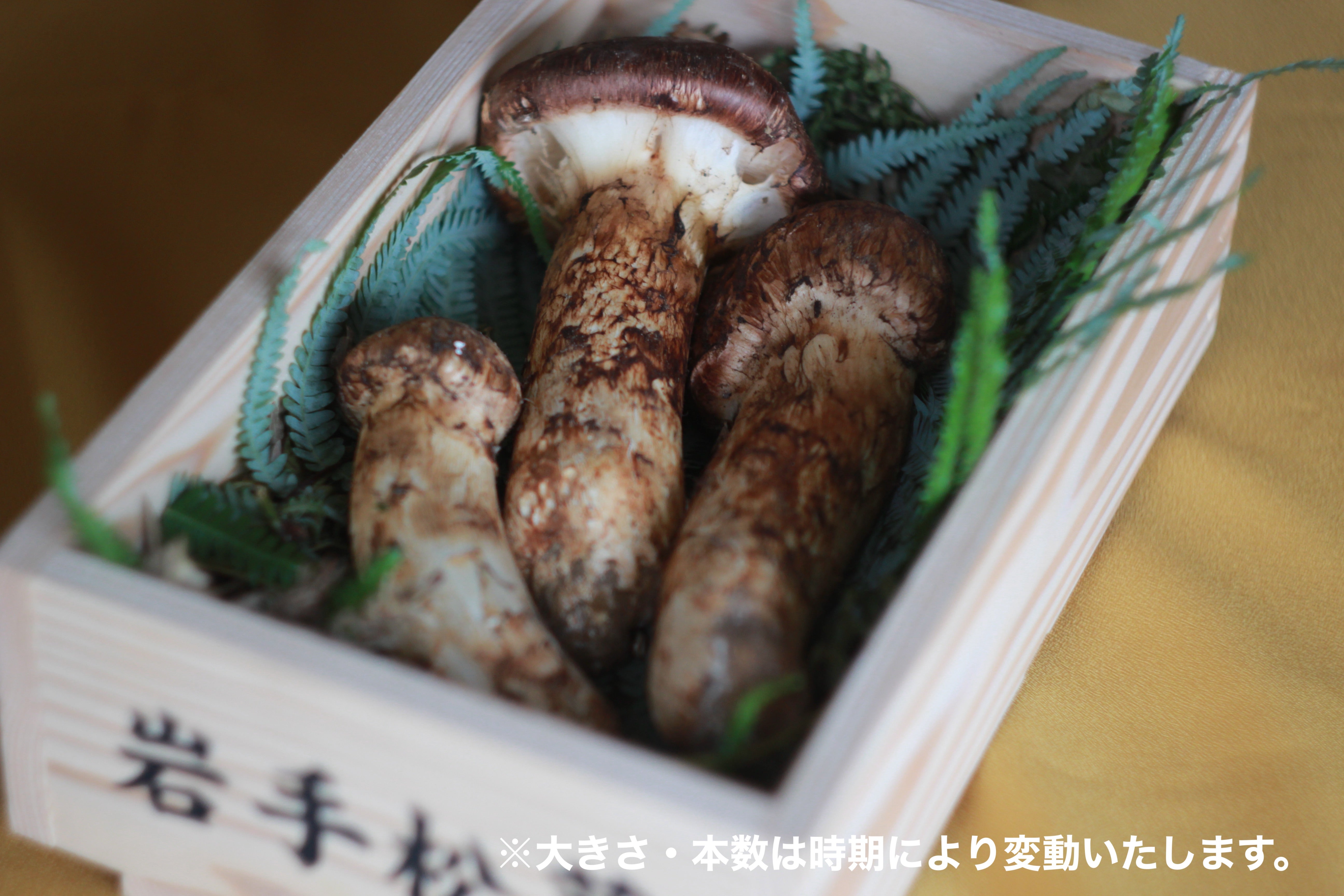 フレッシュ松茸：77,000円（税込・送料無料）